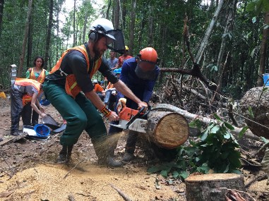 Hands-on chainsaw 